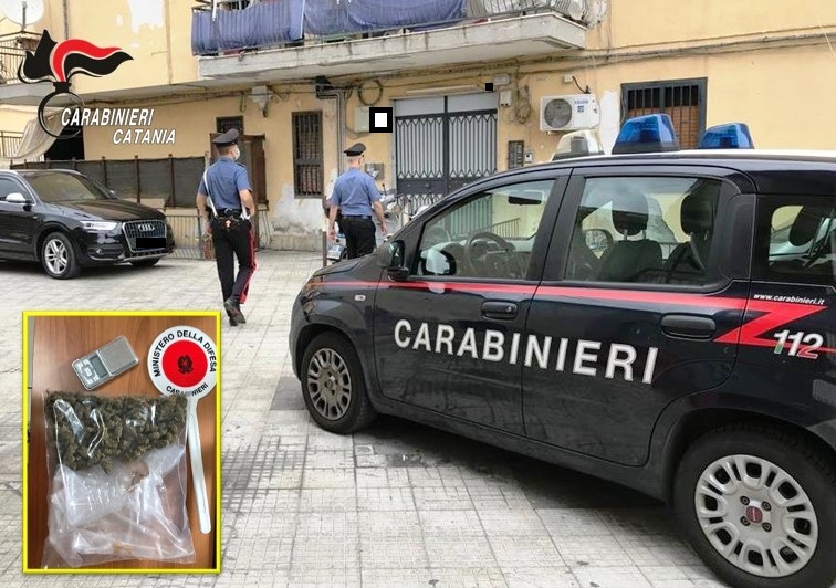 Marijuana in casa, arrestato pregiudicato