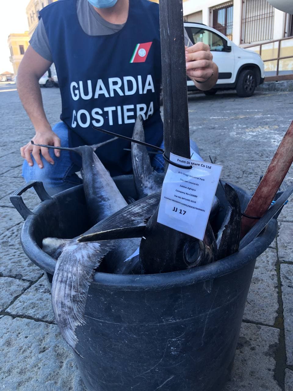 sequestro guardia costiera pescheria di Catania