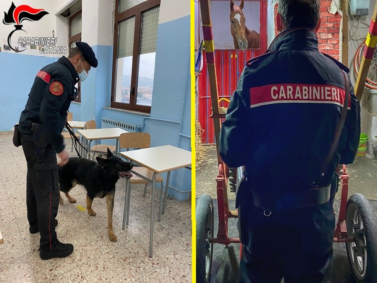 Blitz antidroga nelle scuole Carabinieri