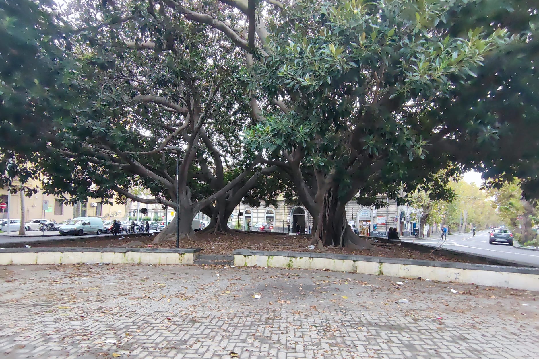 Piazza Santa Maria di Gesù