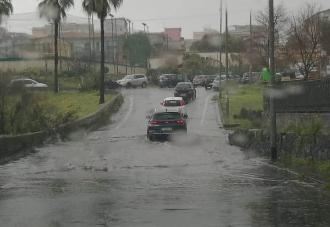 Catania