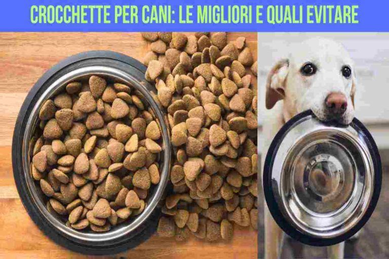 Cose Per Cani Grandi Borsa Viaggio Per Cani Con Ciotole Pieghevoli - Porta Crocchette E Accessori Ciotole Pieghevoli Cane