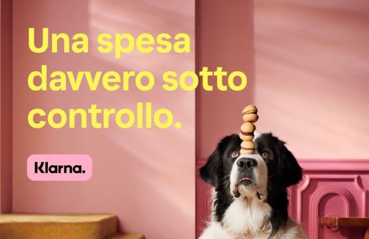 Klarna cane rateizzazione 